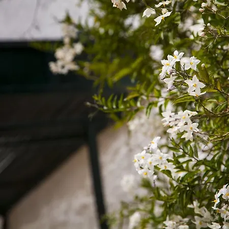 Casa rural Alojamiento Rural La Zaranda Fuente de Piedra